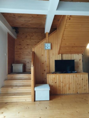 Vila Jana Žabljak